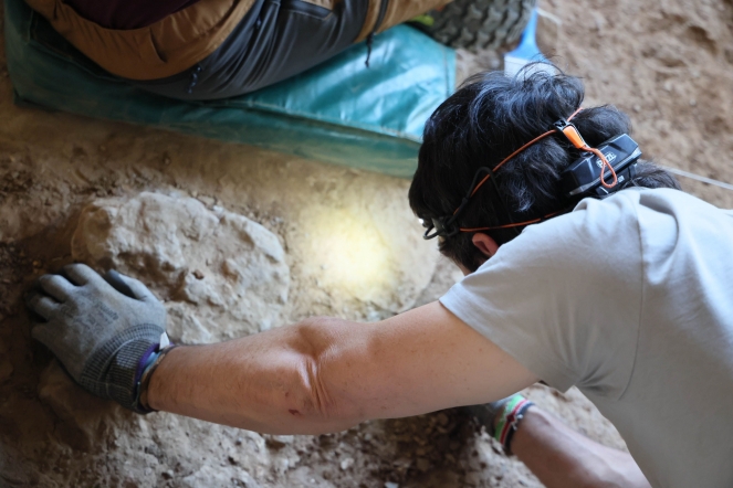 Los caballos más antiguos del linaje ibérico salen a la luz en las excavaciones de La Malia en Tamajón