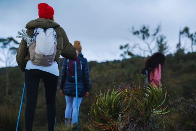 Acercarse a la naturaleza con ecoturismo, montañismo y talleres ecológicos