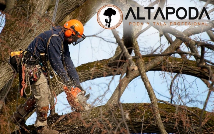 Altapoda: expertos en poda en altura y servicios integrales de arboricultura en la Sierra de Madrid