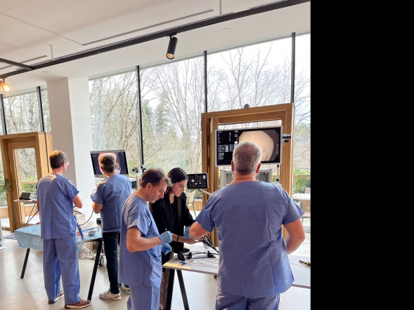 Un centenar de médicos de todo el Estado acuden al curso Hands On-Live de endoscopia del tercer espacio que organiza Pol