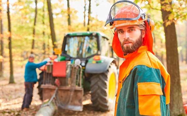Formación Universitaria prepara para el Título Oficial de Técnico Superior en Gestión Forestal y del Medio Natural