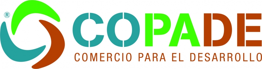 Más del 56% de España es bosque, pero su madera sigue desaprovechada