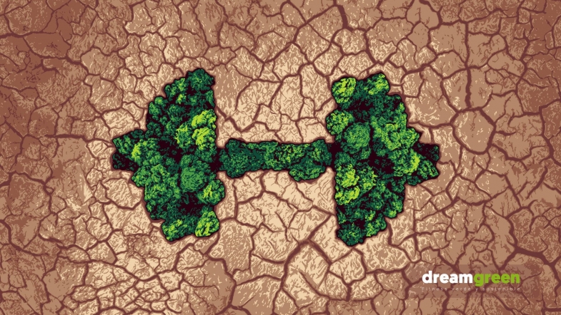 La cadena de gimnasios Dreamfit revoluciona la industria del fitness con Dreamgreen