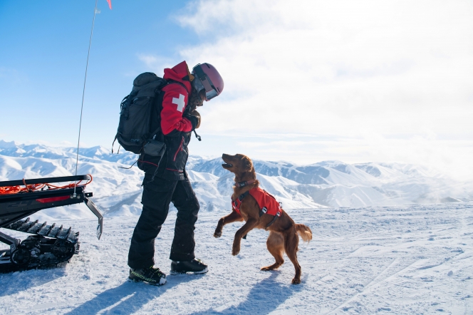 Nulo aterriza en España junto a IskayPet para revolucionar la nutrición premium para mascotas