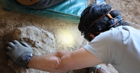 Los caballos más antiguos del linaje ibérico salen a la luz en las excavaciones de La Malia en Tamajón