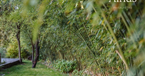 Alnus Paisajistas consolida su trayectoria como estudio de paisajismo sostenible en Madrid