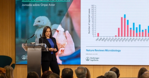 Investigadores, autoridades y profesionales analizan el avance de la influenza aviar en España