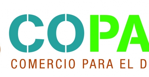 Más del 56% de España es bosque, pero su madera sigue desaprovechada