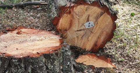 COPADE refuerza su liderazgo como motor del Comercio Justo en España con una nueva apuesta por la comercialización de pr