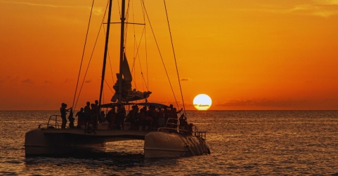 Naturaleza, diversión y experiencias únicas en catamarán costero