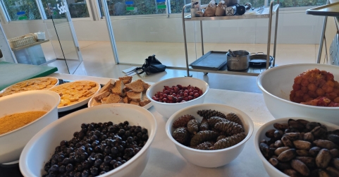Exploran la viabilidad de crear y comercializar nuevos alimentos a base de escaramujos, endrinas, bellotas o piñas verde