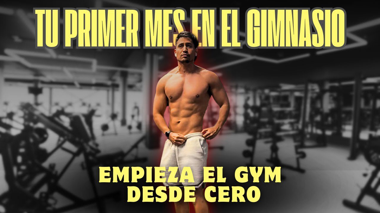 Guia-completa-sobre-gimnasio | Diario-ABC.Com Guía completa sobre gimnasio