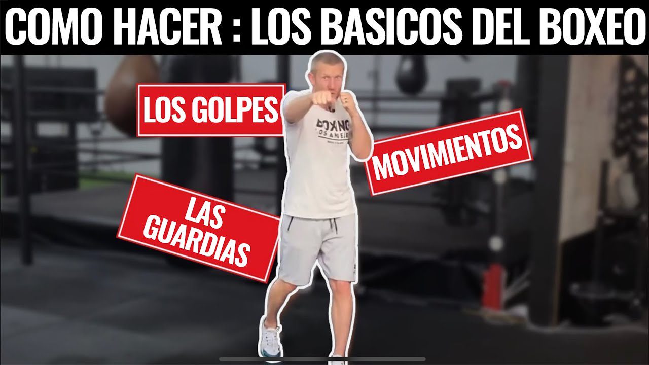 Guia-completa-sobre-boxeo | Diario-ABC.Com Guía completa sobre boxeo
