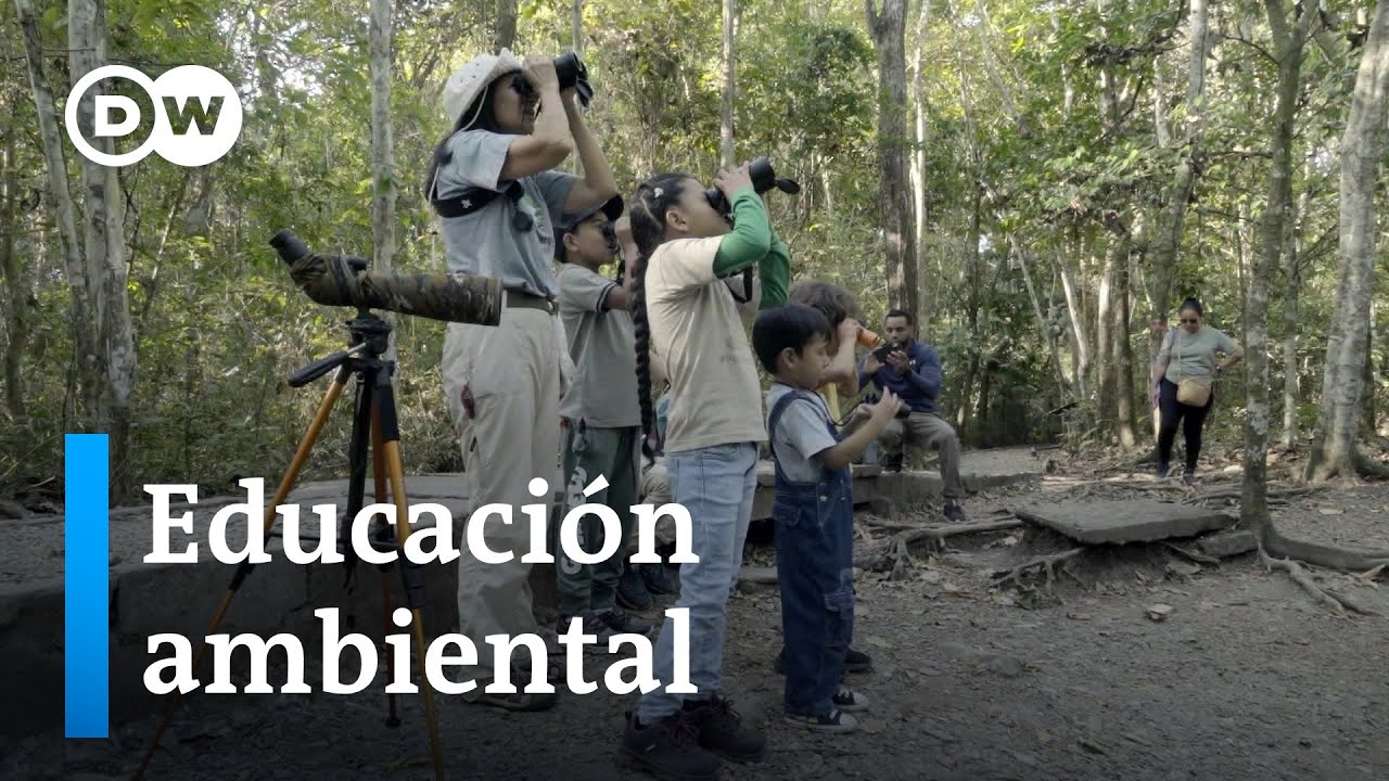 Guía completa sobre medio ambiente