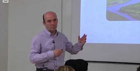 Guía completa sobre economía sostenible
