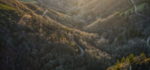 Aerial view of a sunlit valley with winding forested roads cutting through hilly terrain.
