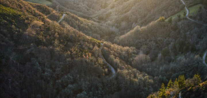Aerial view of a sunlit valley with winding forested roads cutting through hilly terrain.
