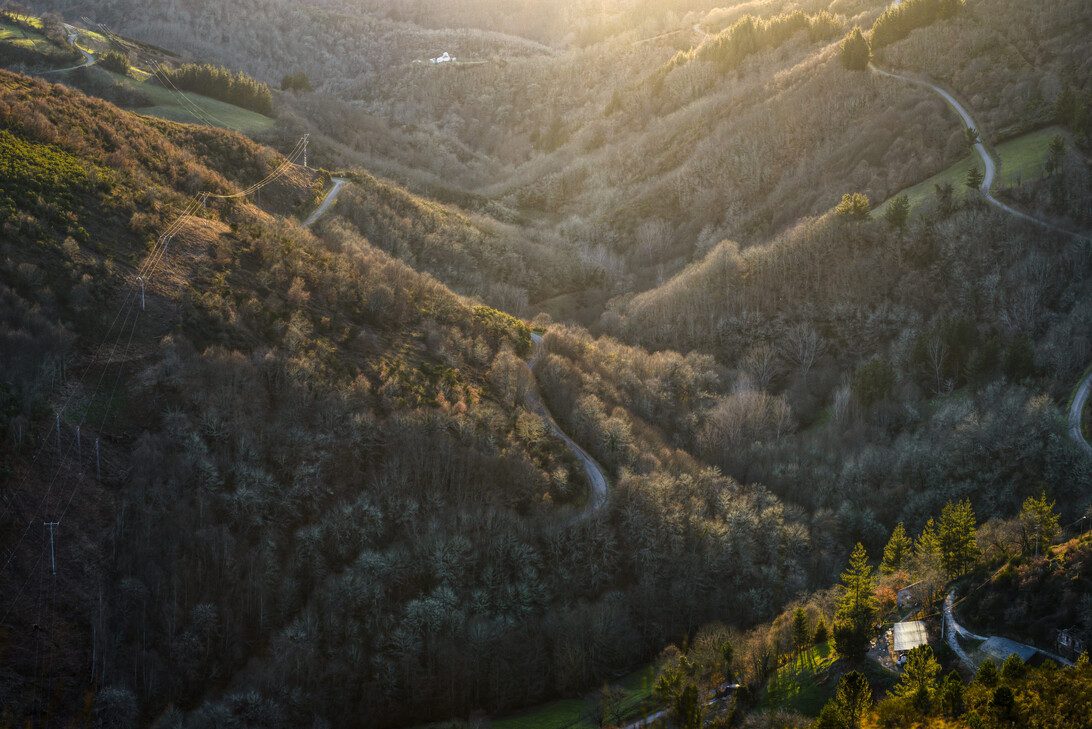 Aerial view of a sunlit valley with winding forested roads cutting through hilly terrain.